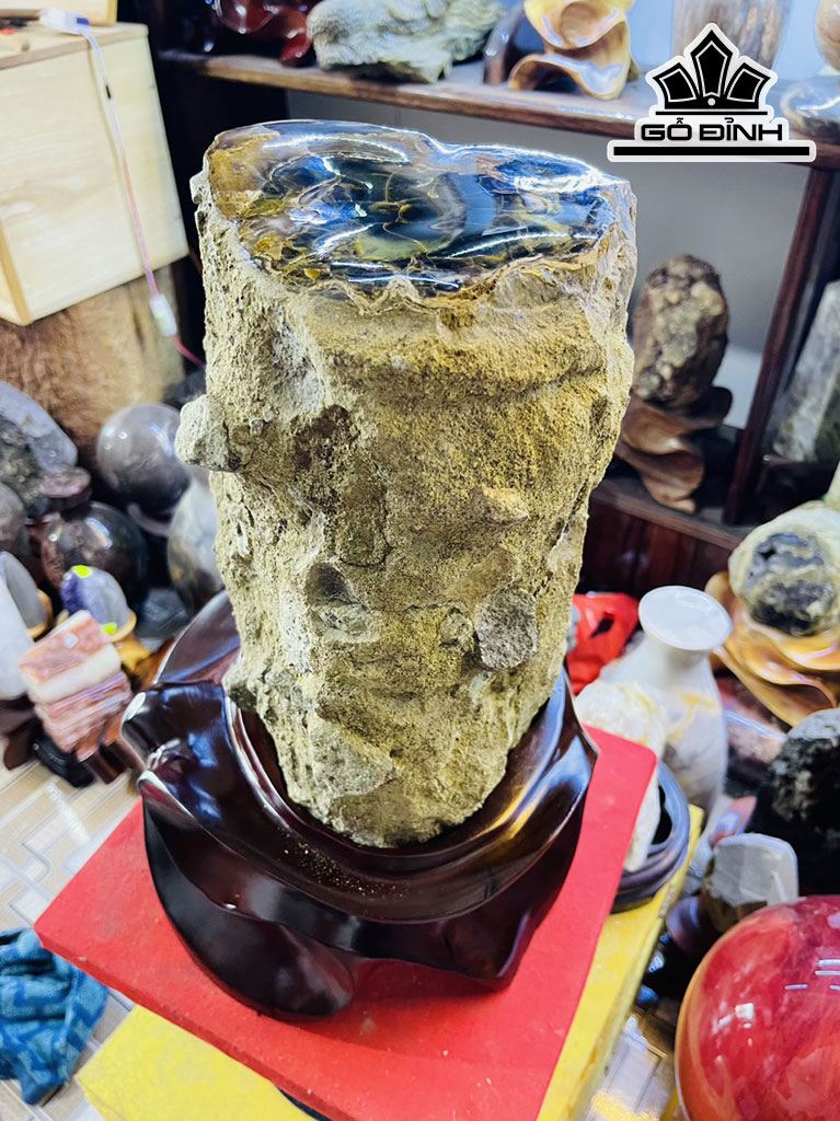 Tác Phẩm Gỗ Hóa Thạch Cao 40 Đường Kính 18 (cm) 17kg