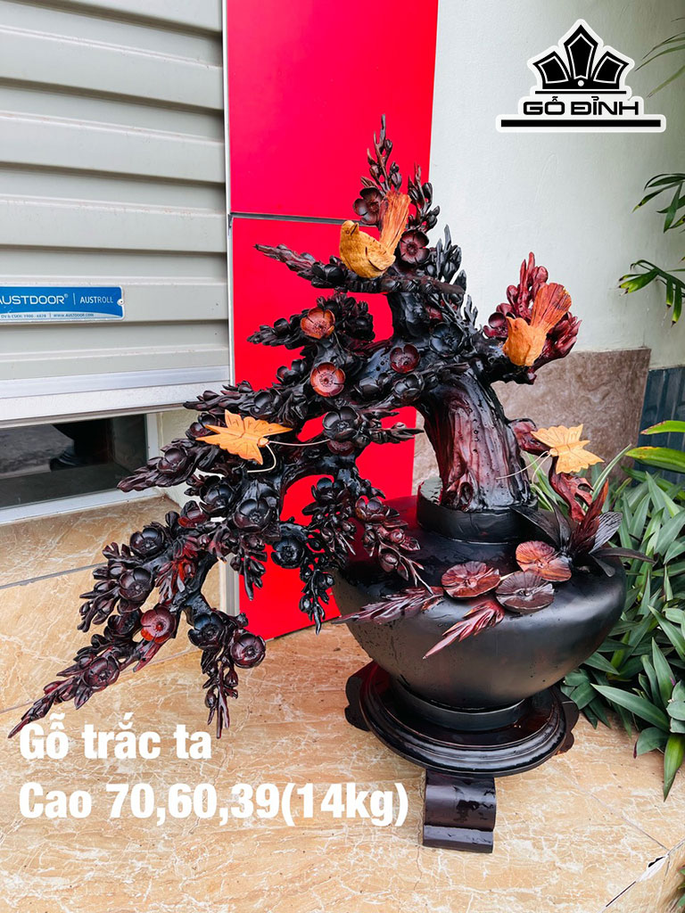 Bình Hoa Gỗ Trắc Cao 70 Ngang 60 Sâu 39 (cm)