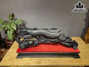 Tượng Cá Kim Long Gỗ Mun Sừng Cao 31 Ngang 76 Sâu 15 (cm)