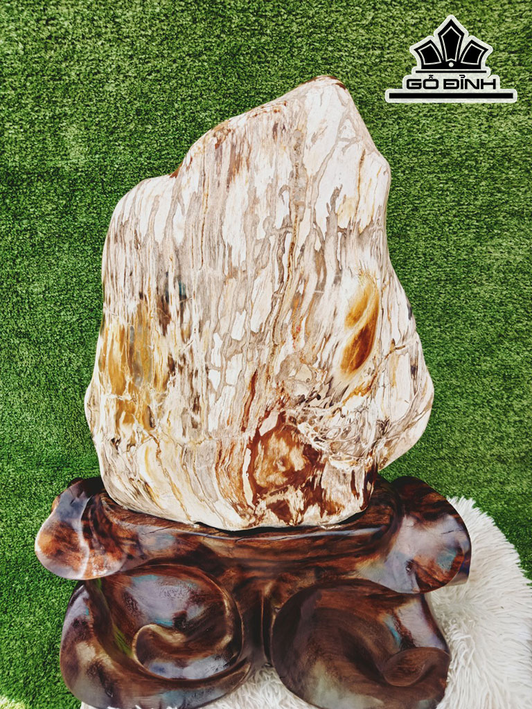 Tác Phẩm Gỗ Hóa Thạch Cao 70 Ngang 38 (cm) 40kg