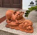 Tượng Heo Gỗ Hương Ngang 37 Cao 24 Sâu 14 (cm)