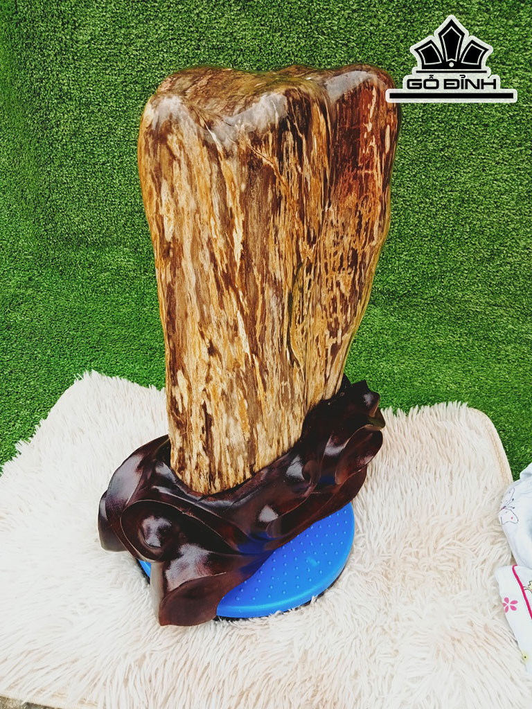 Tác Phẩm Gỗ Hóa Thạch Cao 43 Ngang 22 (cm) 17kg