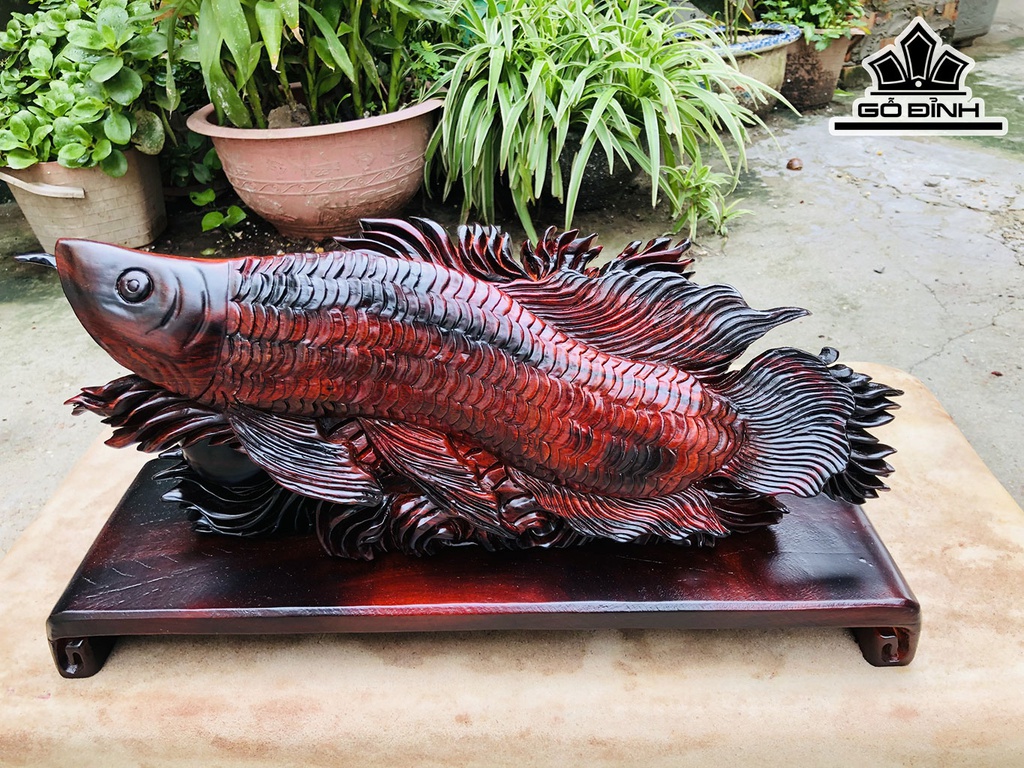 Tượng Cá Kim Long Gỗ Trắc Ngang 47 Cao 25 Sâu 14 (cm)