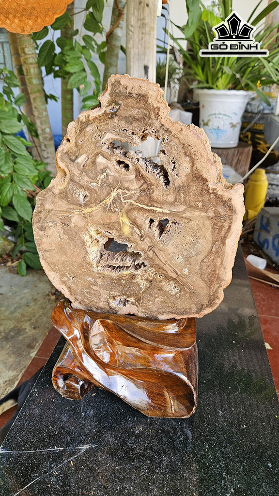 Tác Phẩm Gỗ Hóa Thạch Cao 45 Ngang 26 (cm) 9kg