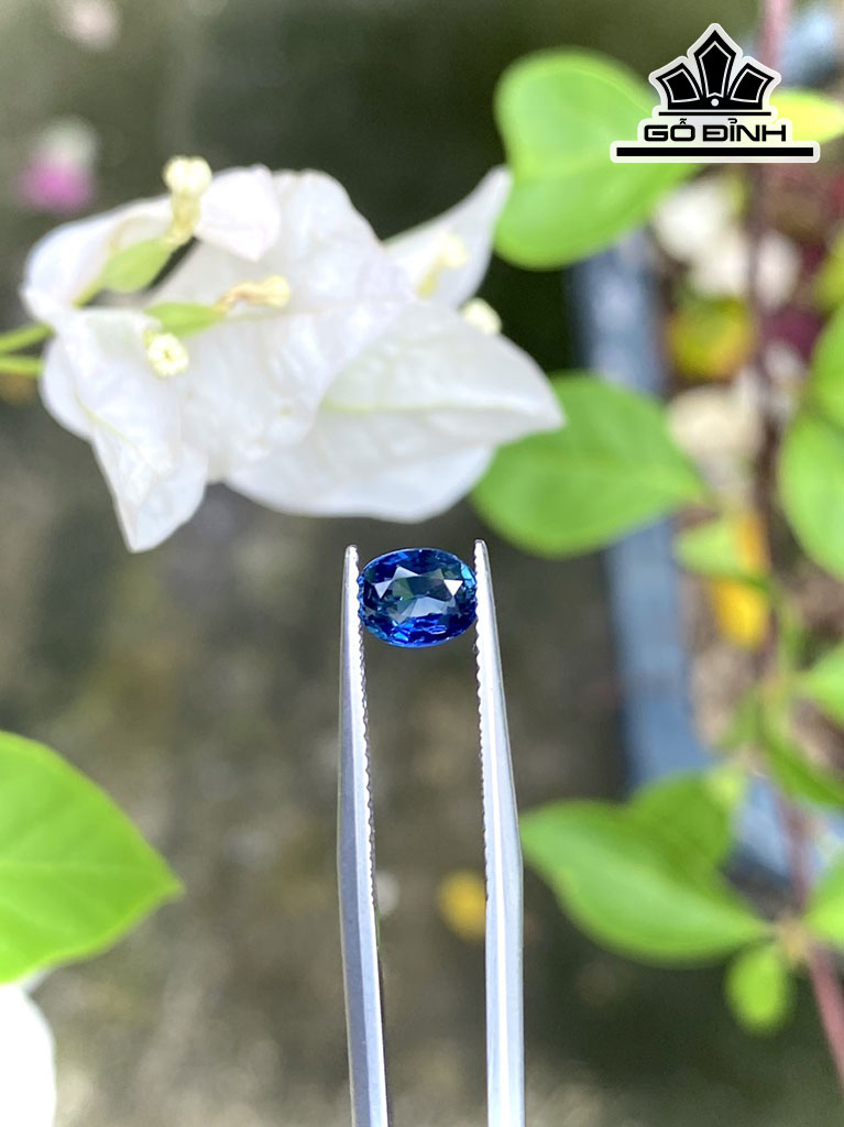 Viên Ngọc Đá Sapphire Cao 6,3 Ngang 5 Sâu 3,4 (mm) 1,07cts