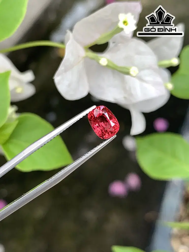 Viên Ngọc Đá Spinel Cao 7,2 Ngang 5,5 Sâu 4,5 (mm) 1,74cts