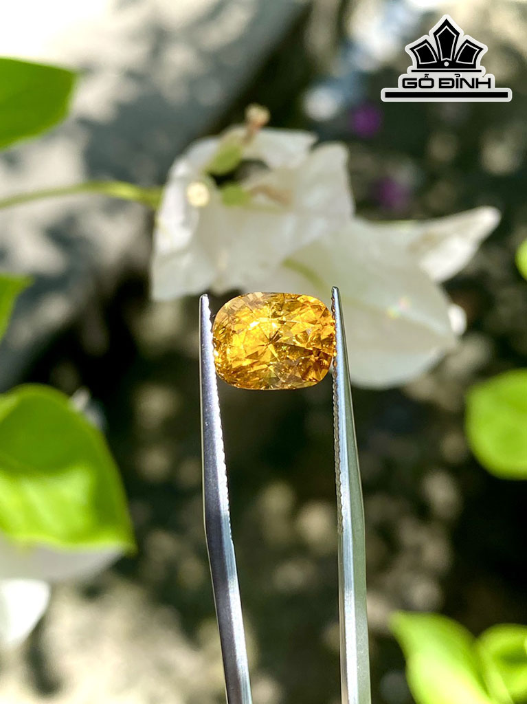 Viên Ngọc Đá Tourmaline Cao 9,3 Ngang 7,5 Sâu 7 (mm) 2,95cts
