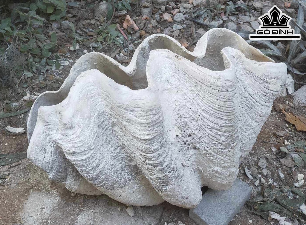 Tác Phẩm Sò Hóa Thạch Cao 78 (cm) 70kg