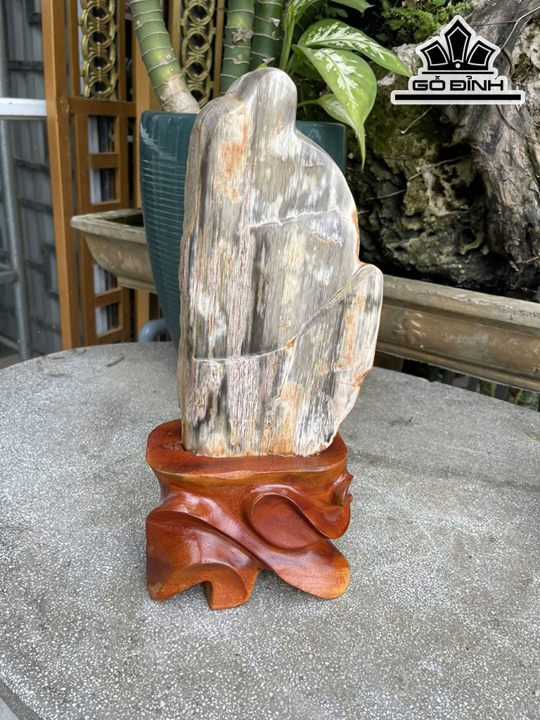 Tác Phẩm Gỗ Hóa Thạch Cao 38 (cm) 4,2kg