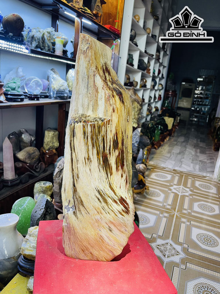 Tác Phẩm Gỗ Hóa Thạch Cao 50 (cm) 10kg