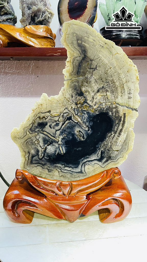 Tác Phẩm Gỗ Hóa Thạch Cao 40 Rộng 25 (cm) 6,5kg