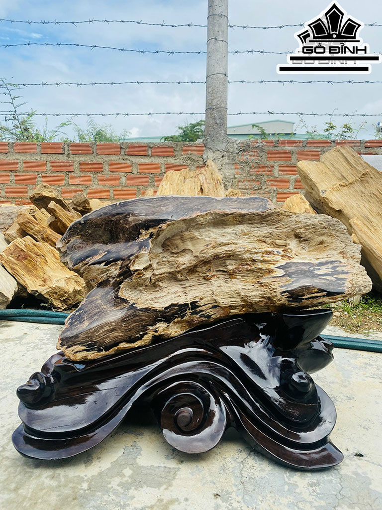 Tác Phẩm Gỗ Hóa Thạch Cao 50 Ngang 70 (cm) 71kg
