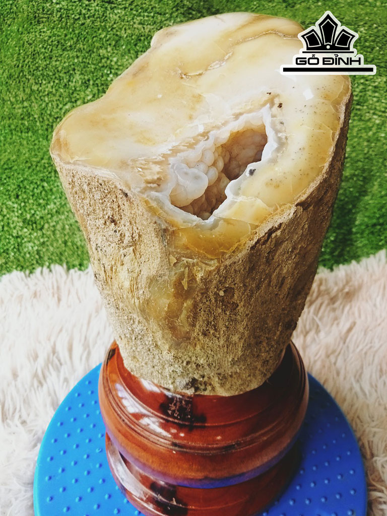 Tác Phẩm Gỗ Hóa Ngọc Cao 28 Đường Kính 12 (cm) 5,4kg