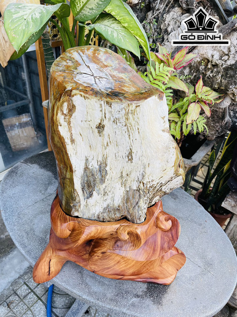 Tác Phẩm Gỗ Hóa Thạch Cao 65 Ngang 32 (cm) 48kg
