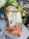Tác Phẩm Gỗ Hóa Thạch Cao 65 Ngang 32 (cm) 48kg
