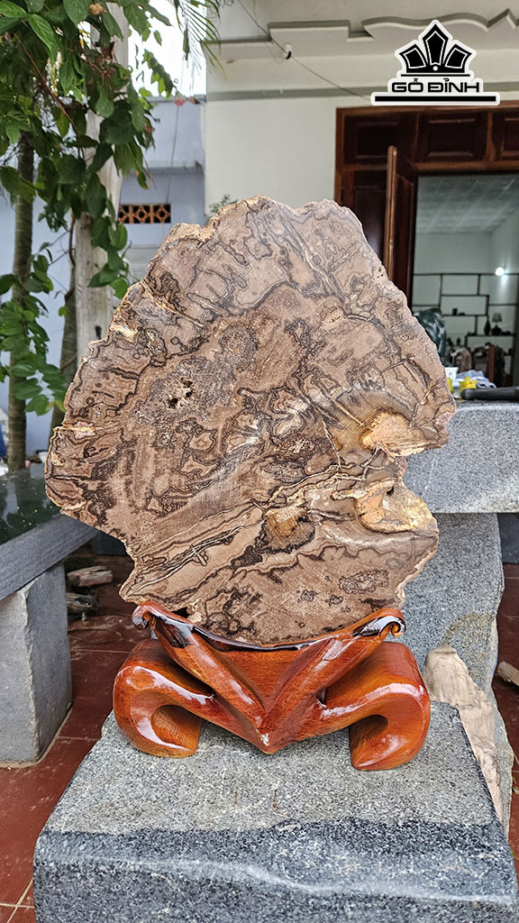 Lát Vân Thủy Tùng Gỗ Hóa Thạch Cao 47 Ngang 35 (cm) 11kg