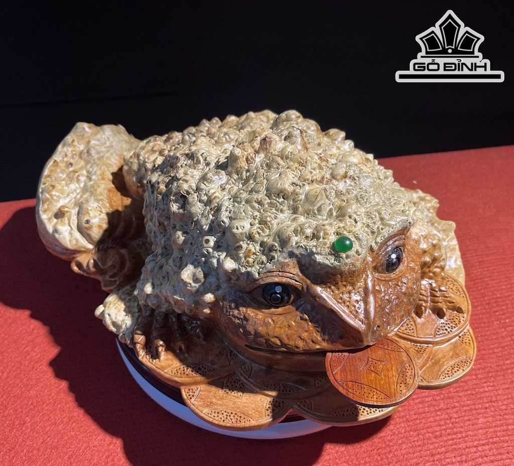 Tượng Cóc Ngậm Tiền Gỗ Nu Hương Cao 12 Ngang 26 Sâu 35 (cm)