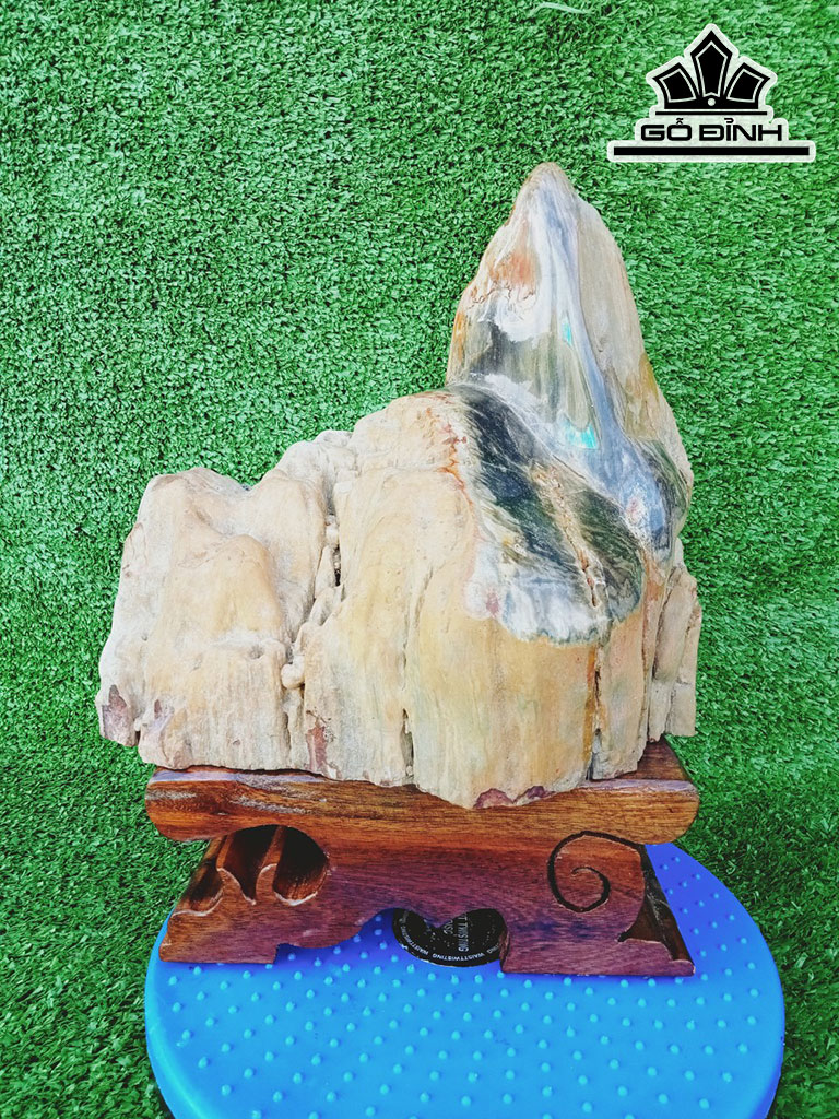 Tác Phẩm Gỗ Hóa Thạch Cao 30 Ngang 23(cm) 7kg