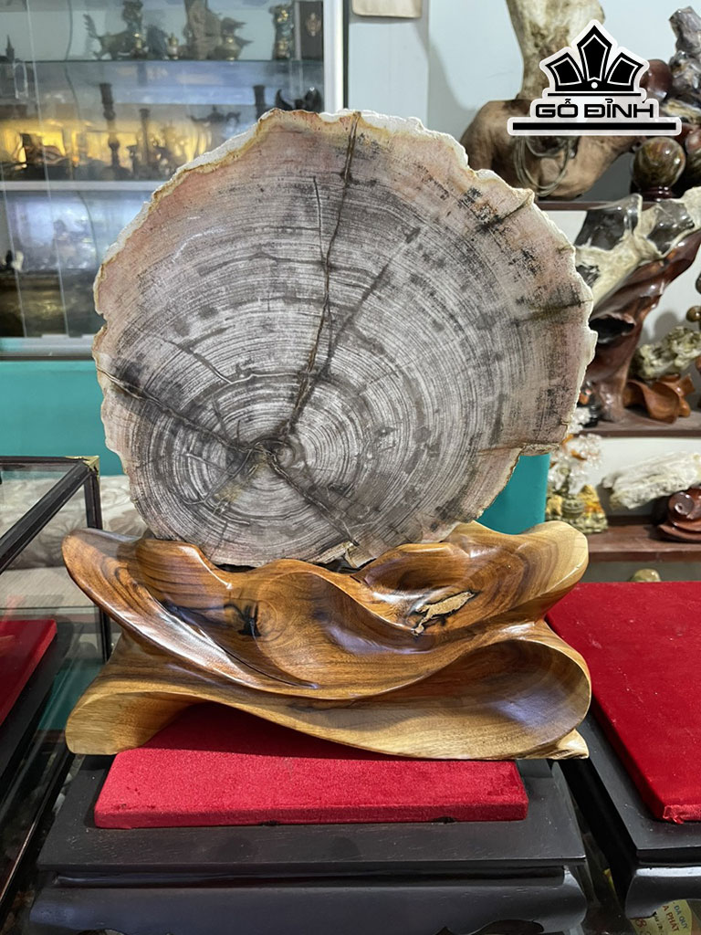 Tác Phẩm Gỗ Hóa Thạch Cao 38 (cm) 7,9kg