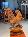 Tượng Gà Phong Thủy Gỗ Hương Cao 62 Ngang 43 Sâu 20 (cm)
