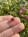 Viên Đá Ruby Đỏ 2,85cts