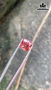 Viên Đá Spinel Cam Nâu 2,7cts