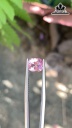 Viên Đá Spinel Hồng Sáng 1,35cts