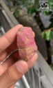 Viên Đá Ruby 257cts