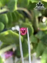 Viên Đá Spinel 1,65cts