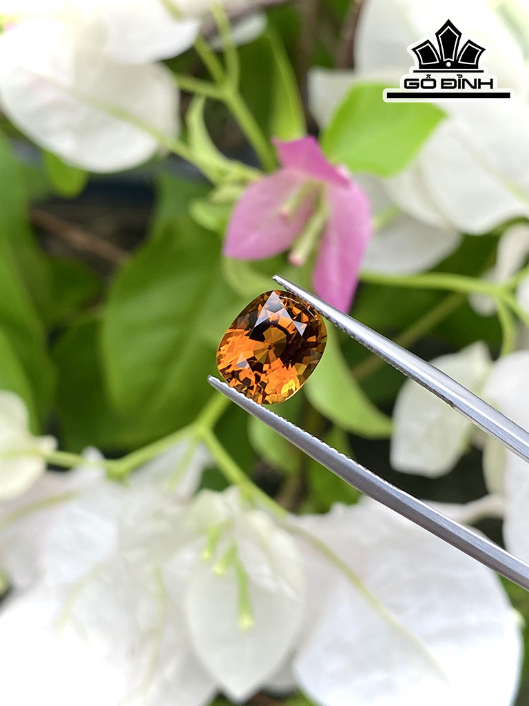 Viên Đá Tourmaline 3,1cts