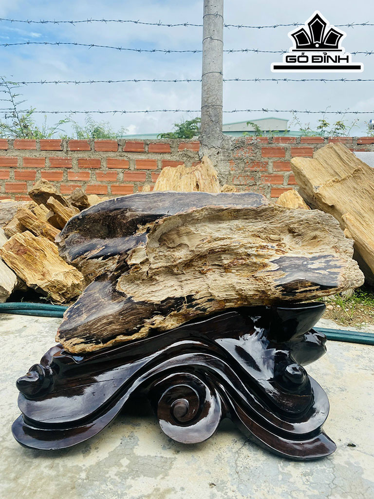 Tác Phẩm Gỗ Hóa Thạch Cao 50 Ngang 70 (cm) 71kg