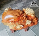 Tượng Tam Cóc Ngậm Tiền Gỗ Nu Hương Cao 48 Ngang 70 Sâu 25