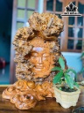 Diện Phật Tổ Gỗ Nu Huyết Long Cao 40 Ngang 30 (cm)
