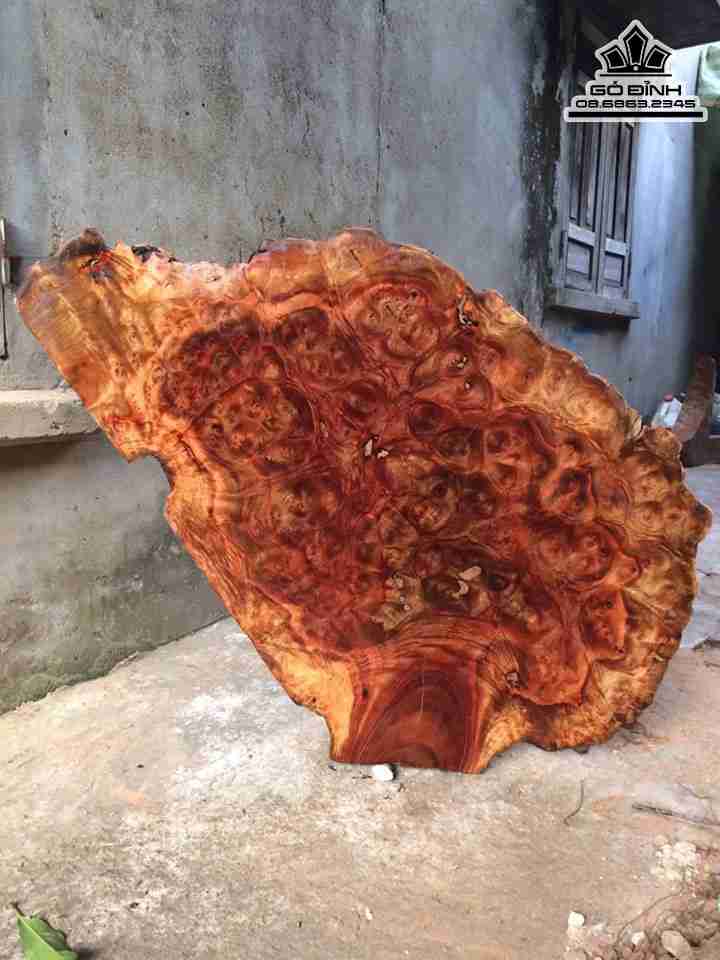 Mặt Bàn Gỗ Nu Xá Xị ( Gù Hương )  Dài 100 Ngang 70 Dày 15 (cm)