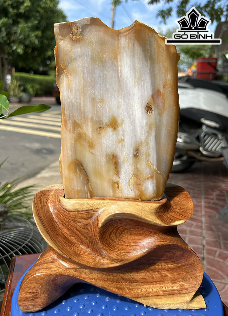 Tác Phẩm Gỗ Hóa Thạch Cao 30 (cm) 3,7kg
