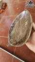 Cặp Đĩa Gỗ Hóa Thạch Cao 10 Ngang 22 (cm) 1kg