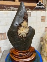 Tác Phẩm Đá Aragonit Cao 40 (cm) 6,3kg
