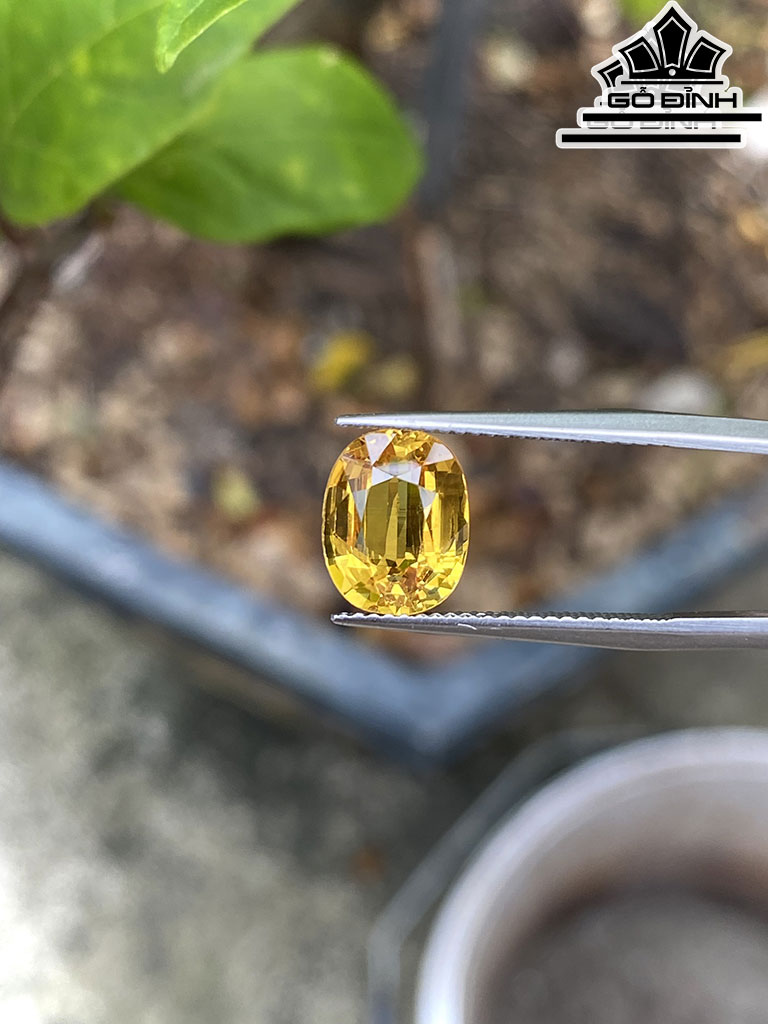 Viên Đá Sapphire Cao 10,5 Ngang 8,2 Sâu 5 (mm) 3,92cts