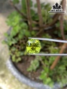 Viên Đá Tourmaline 9,26cts