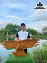 Tượng Đại Bàng Gỗ Hương Cao 52 Ngang 120 Sâu 29 (cm)