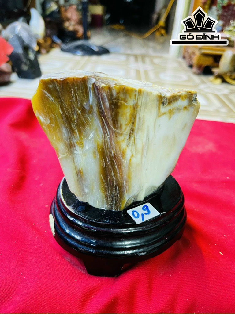 Tác Phẩm Gỗ Hóa Thạch Cao 14 (cm) 0,9kg