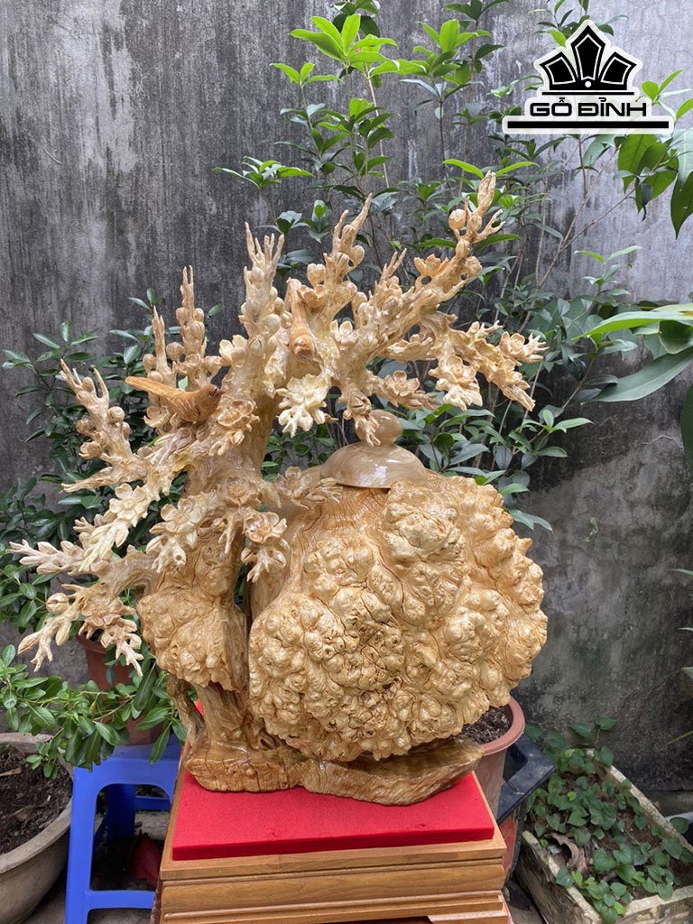 Bình Mai Phú Quý Gỗ Nu Ngọc Nghiến Cao 62 Ngang 55 Sâu 35 (cm)