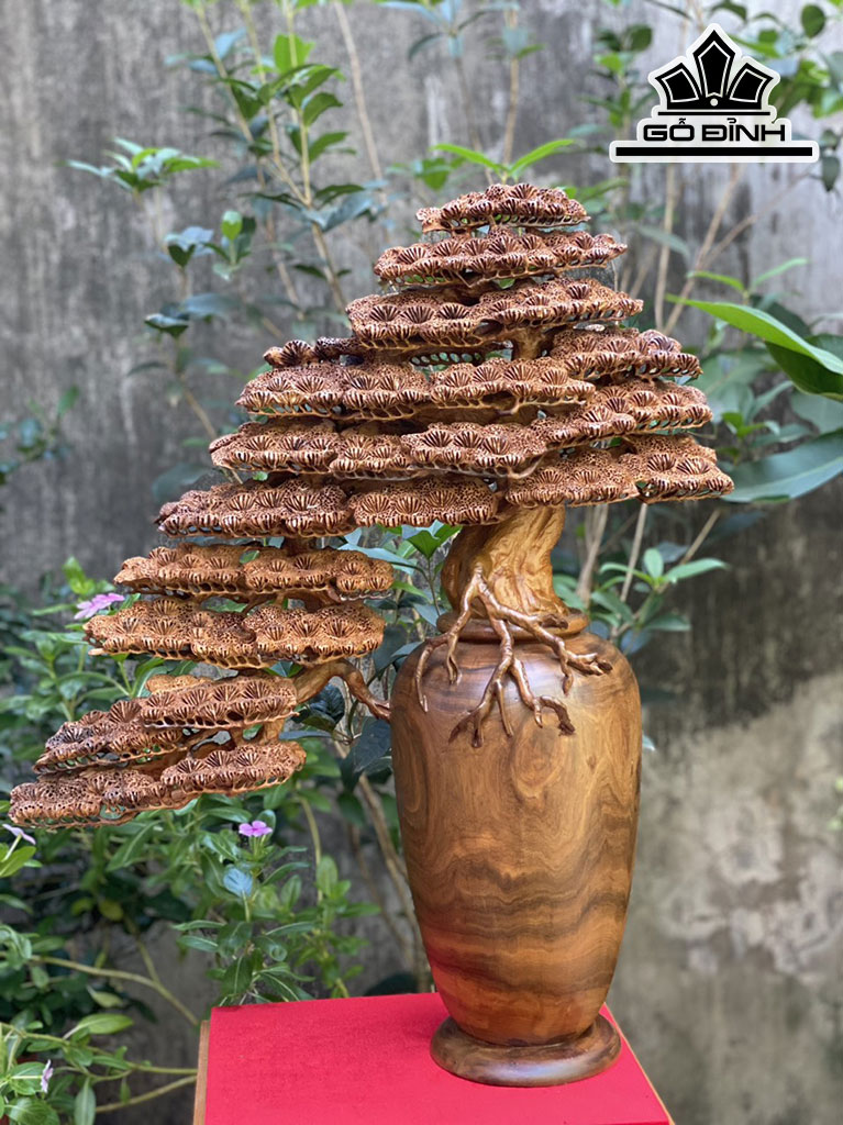 Bình Tùng Gỗ Bách Xanh Cao 62 Ngang 52 Sâu 20 (cm)