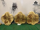 Tranh Phúc Lộc Thọ ( Tam Đa ) Gỗ Nu Nghiến Cao 46 Ngang 42 Sâu 2,5 (cm)