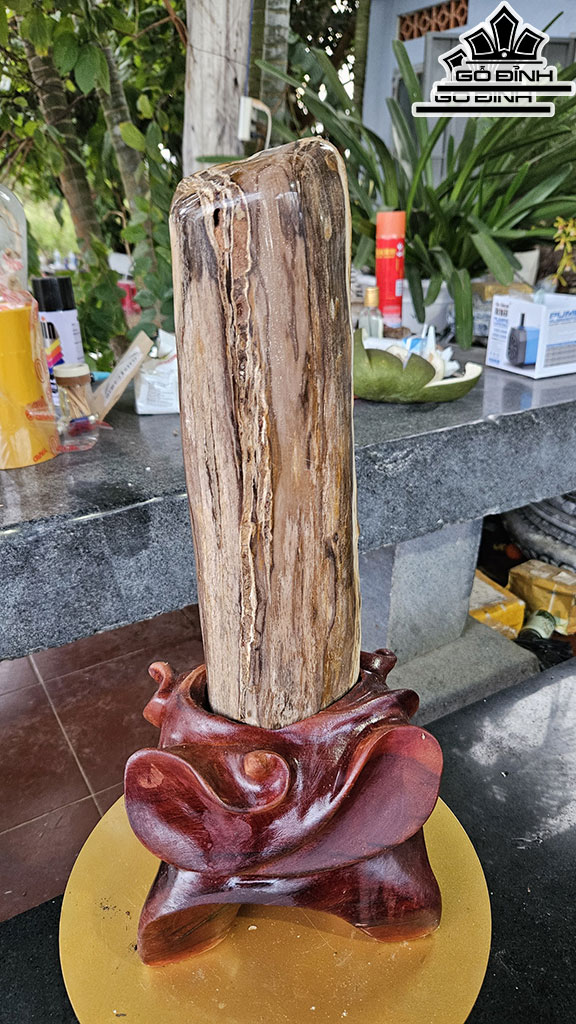 Tác Phẩm Gỗ Hóa Thạch Cao 45 Ngang 12 (cm) 6kg
