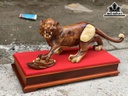 Tượng Hổ Phong Thủy Gỗ Cẩm Cao 24 Ngang 71 Sâu 21 (cm)