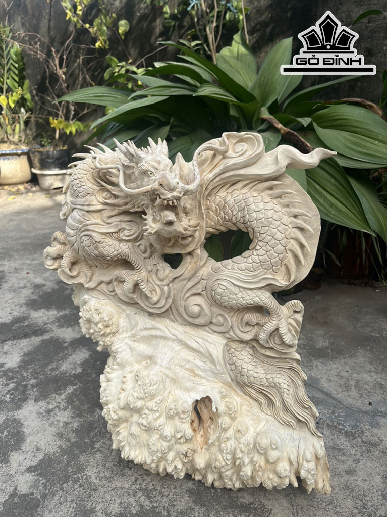 Tượng Rồng Phong Thủy Gỗ Nu Nghiến Cao 48 Ngang 42 Sâu 20 (cm)