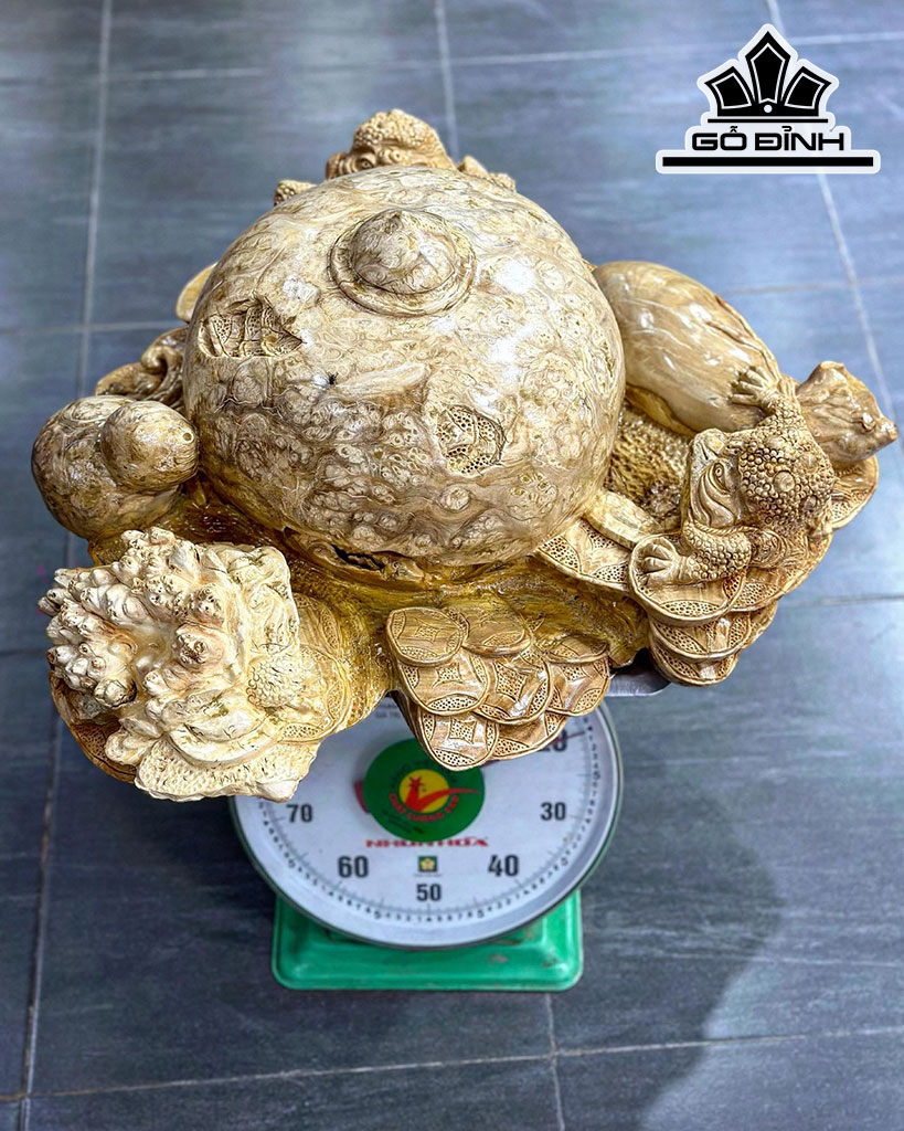 Tượng Tam Cóc Ngậm Tiền Gỗ Nu Nghiến Cao 24 Ngang 54 Sâu 46 (cm)