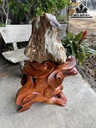 Tác Phẩm Gỗ Hóa Ngọc Cao 100 (cm) Riêng Đá 47x40 (cm) 57kg