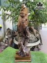 Tượng Đạt Ma Giáo Hóa Gỗ Bách Xanh Cao 105 Ngang 30 Sâu 28 (cm)